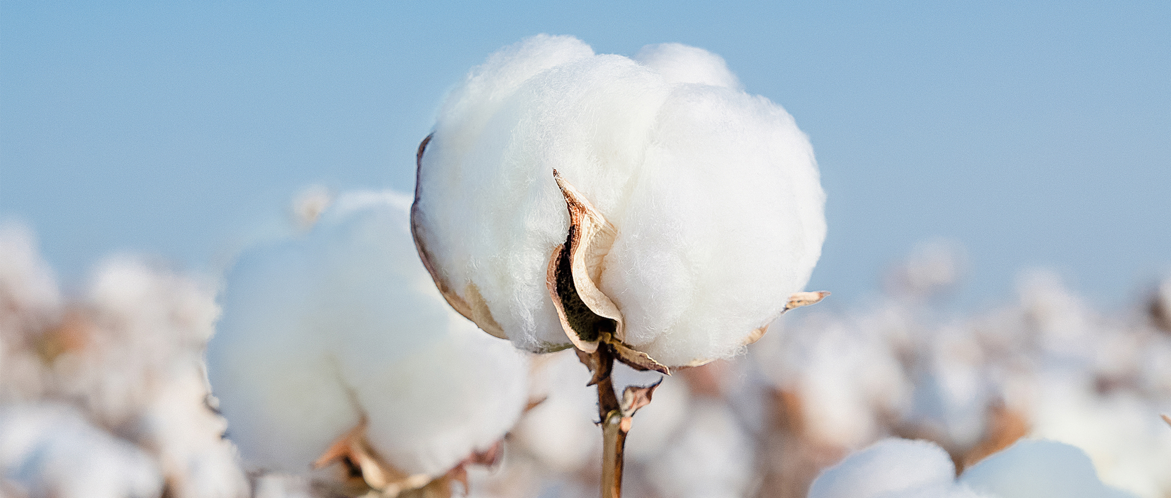 һͼ����6t��������2024���ESG����